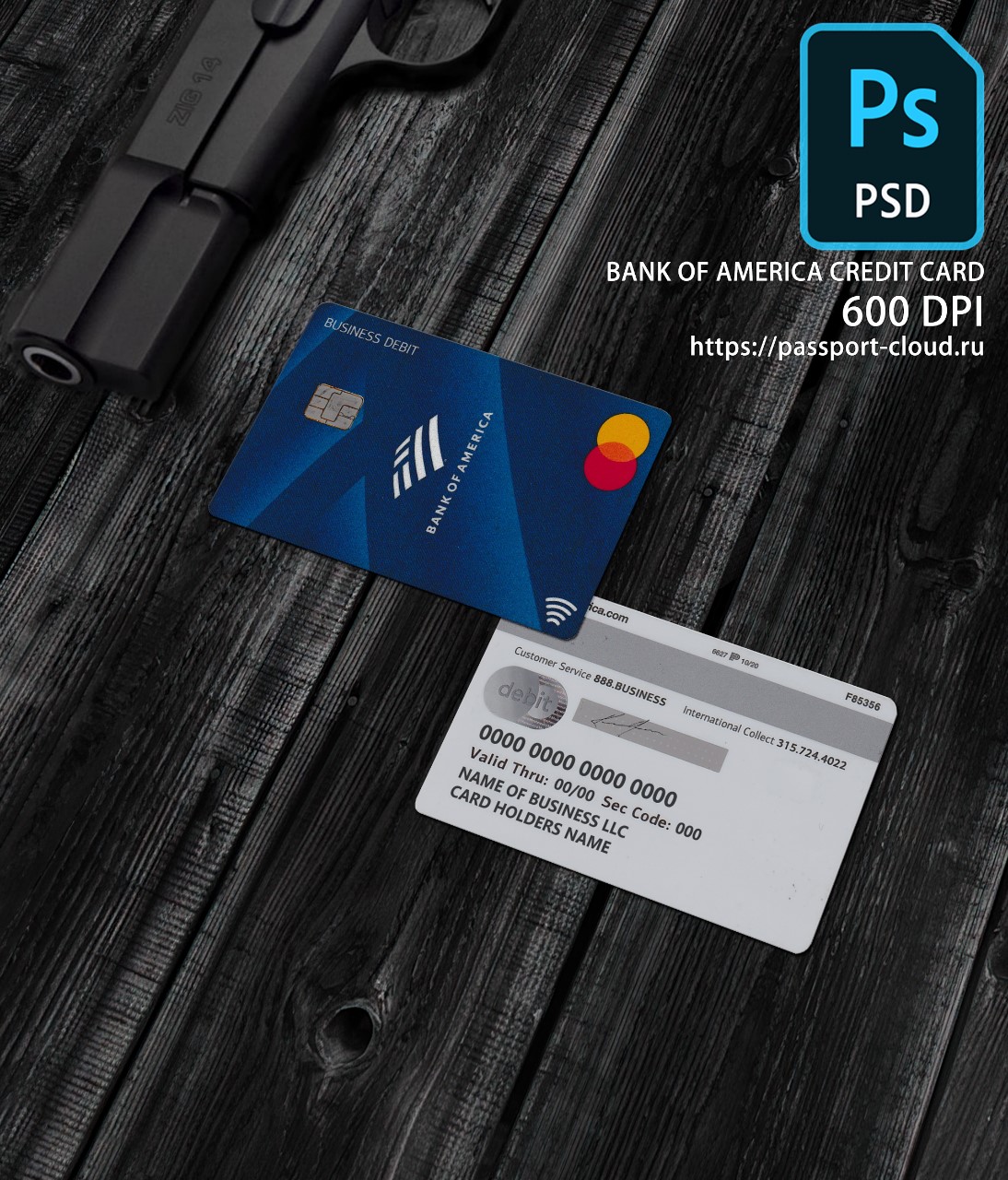 United States of America Credit Card-0